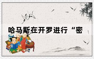 哈马斯在开罗进行“密集谈判” 以色列坚称将攻拉法
