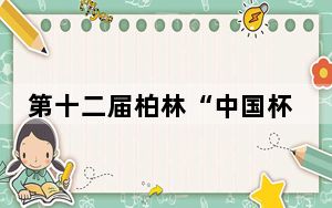 第十二届柏林“中国杯”围棋大赛举办