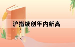 沪指续创年内新高