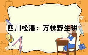 四川松潘：万株野生珙桐花竞相绽放