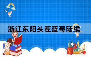 浙江东阳头茬蓝莓陆续成熟 “洋水果”变“土特产”