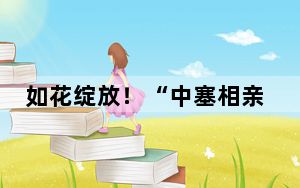 如花绽放！“中塞相亲 万里如邻”人文交流活动在贝尔格莱德举行