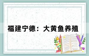 福建宁德：大黄鱼养殖焕发新生机