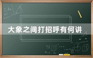 大象之间打招呼有何讲究？国际最新动物学研究揭秘