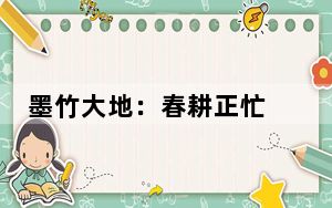 墨竹大地：春耕正忙 希望满田