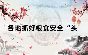 各地抓好粮食安全“头等事” 高标准农田写满“丰收策”