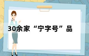 30余家“宁字号”品牌携手亮相2024中国品牌博览会