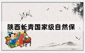 陕西长青国家级自然保护区再拍野生大熊猫母子同框高清影像