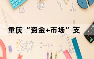 重庆“资金+市场”支持首台（套）重大技术装备推广应用
