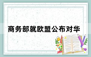 商务部就欧盟公布对华电动汽车反补贴调查终裁结果答记者问