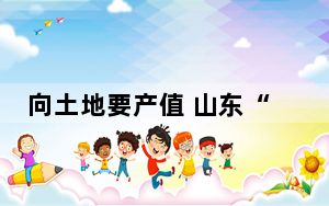 向土地要产值 山东“复式厂房”增产又增效