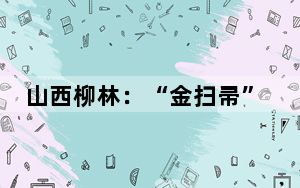 山西柳林：“金扫帚”编织乡村振兴新梦想