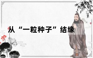 从“一粒种子”结缘 湘非探索农业产业链合作新篇