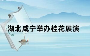 湖北咸宁举办桂花展演 千台无人机点亮中国桂花城