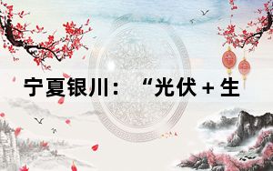 宁夏银川：“光伏＋生态”赋能绿色发展