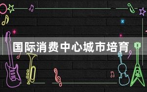 国际消费中心城市培育建设成效如何？商务部回应