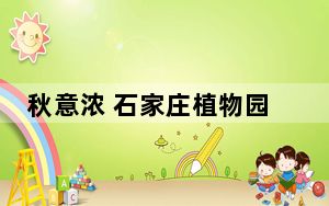 秋意浓 石家庄植物园秋景正当时