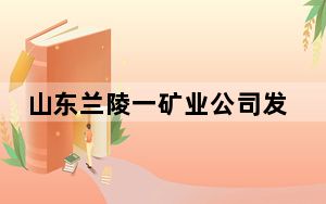 山东兰陵一矿业公司发生冒顶事故 已造成3人死亡4人被困