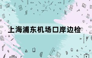 上海浦东机场口岸边检推出多项措施 助参展客商等顺利入境