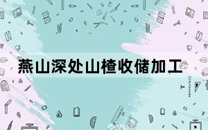 燕山深处山楂收储加工忙