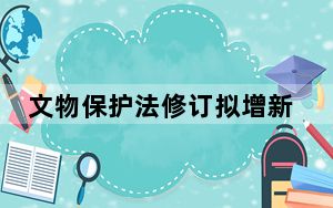 文物保护法修订拟增新规：国家鼓励公民、组织合法收藏