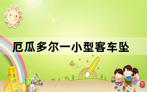 厄瓜多尔一小型客车坠崖 致10死2伤