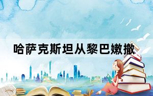哈萨克斯坦从黎巴嫩撤出41名该国公民