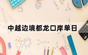 中越边境都龙口岸单日查验旅客超2000人次创新高