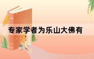 专家学者为乐山大佛有效“看病治疗”建言献策