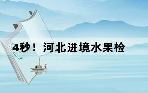 4秒！河北进境水果检疫审批步入“秒级”响应高效智能审批时代