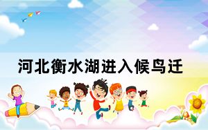 河北衡水湖进入候鸟迁徙高峰期