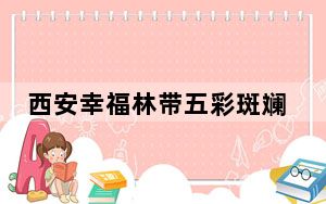 西安幸福林带五彩斑斓