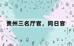 贵州三名厅官，同日官宣被查