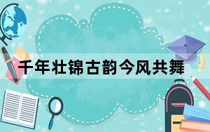 千年壮锦古韵今风共舞  成中外年轻人热捧潮物