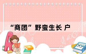 “商团”野蛮生长 户外探险活动如何更安全
