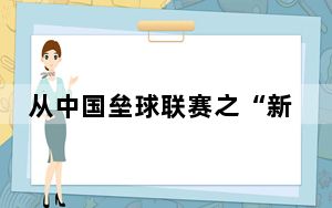 从中国垒球联赛之“新” 看国内垒球发展沉淀之“果”
