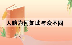 人脑为何如此与众不同