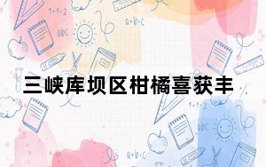 三峡库坝区柑橘喜获丰收“甜蜜”上市