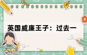 英国威廉王子：过去一年“最艰难”