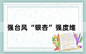 强台风“银杏”强度维持 广东海面风力大