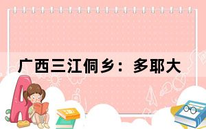 广西三江侗乡：多耶大赛展风情