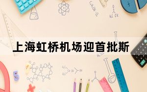 上海虹桥机场迎首批斯洛伐克免签入境旅客
