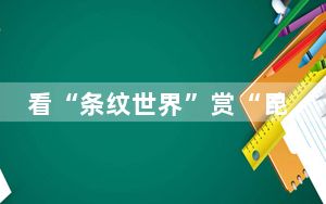 看“条纹世界”赏“昆虫百科”  上海自然博物馆之夜亮相