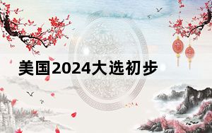 美国2024大选初步结果明朗：特朗普共获312张选举人票