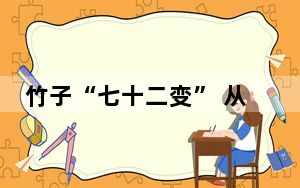 竹子“七十二变” 从三峡库区销往全球