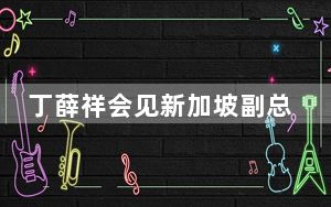 丁薛祥会见新加坡副总理颜金勇并共同主持中新双边合作机制会议