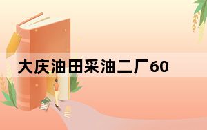 大庆油田采油二厂60年：“油+气+新能源” 能源总当量持续向上增长