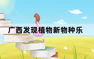 广西发现植物新物种乐业山羊角树