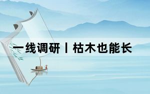 一线调研丨枯木也能长新芽？为胡杨林“解渴”他们有妙招