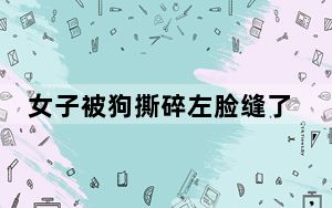 女子被狗撕碎左脸缝了500多针 警方已介入调查